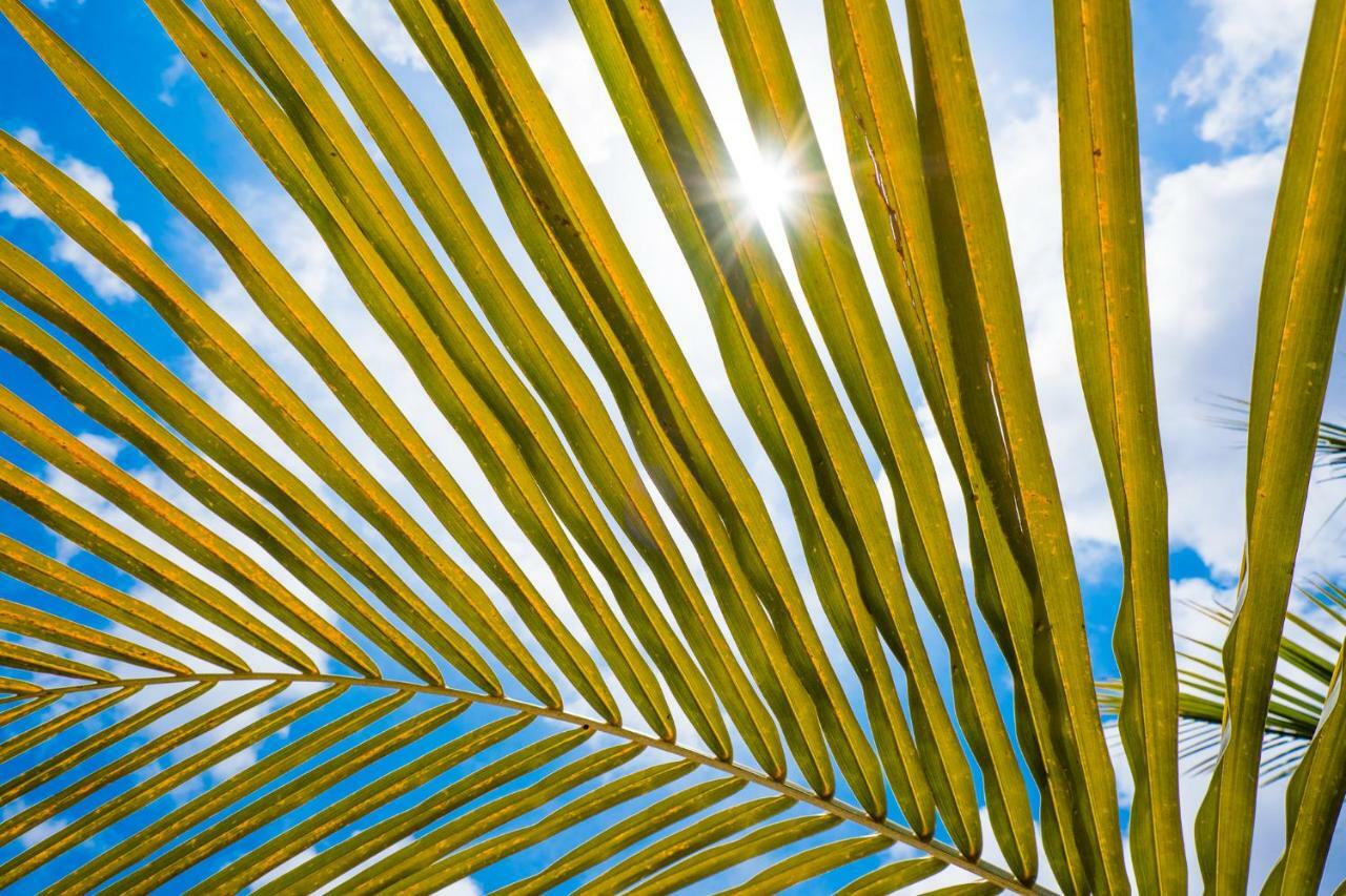 קרלנדיק Beaches Bonaire מראה חיצוני תמונה